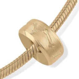 Strak Design Pet Memorial Bead Botjes - Goud