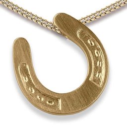Ashanger Hoefijzer Goud