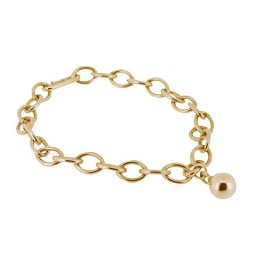 Geelgouden Asbedel Armband