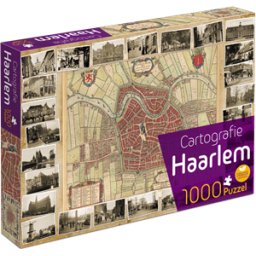 Haarlem Cartografie Puzzel (1000 stukjes)