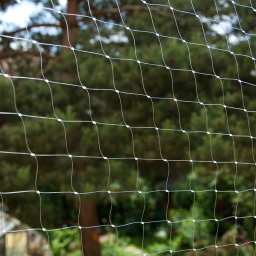 3x2m Kattennet Balkongaas Transparant
