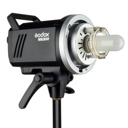 Godox MS300-F 2-Monolight Kit