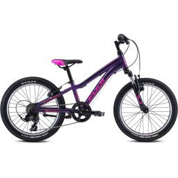 FUJI Bikes Mountainbike Fuji Dynamite 20