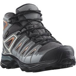 Salomon Wandelschoenen X ULTRA PIONEER MID GORE-TEX® W waterdicht