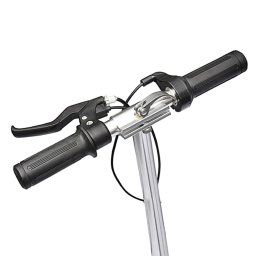 vidaXL Step elektrisch 120 W zwart