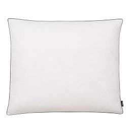 vidaXL Kussens 2 st licht 70x60 cm dons-/verenvulling wit
