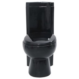 vidaXL Toilet hoekmodel keramisch zwart