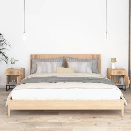 vidaXL Nachtkastjes 2 st 40x30x55,5 cm bewerkt hout en ijzer