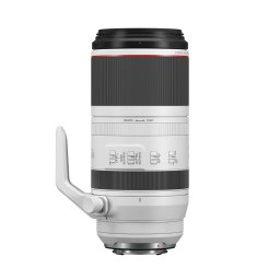 Canon RF 100-500mm f/4.5-7.1L IS USM