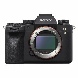 Sony A9 II + FE 24-70mm f/2.8 GM II