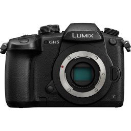 Panasonic DC-GH5 II + Leica 12-35mm f/2.8