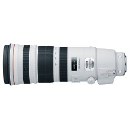 Canon EF 200-400mm f/4.0L IS USM Extender 1.4x