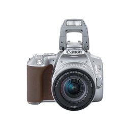 Canon EOS 250D DSLR Zilver + 18-55mm IS STM
