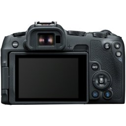 Canon EOS R8 + RF 24-50mm f/4.5-6.3 IS STM