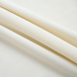 vidaXL Gordijnen verduisterend 2 st met haken 140x245 cm fluweel crème