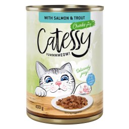 12x400g Hapjes met Zalm en Forel in Saus Catessy Kattenvoer