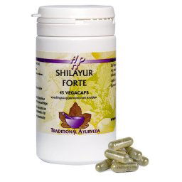Holisan Shilayur Forte Capsules