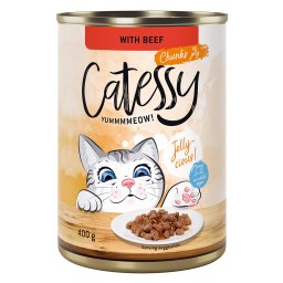48x400g Hapjes in Saus of Gelei met Rund in Gelei Catessy Kattenvoer