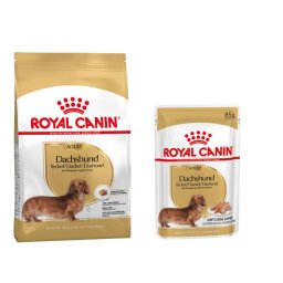 7,5kg Droogvoer + 12x85g Natvoer Dachshund (Teckel) Adult Royal Canin Hondenvoer