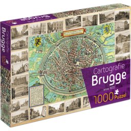 Cartografie Brugge (1000 stukjes)
