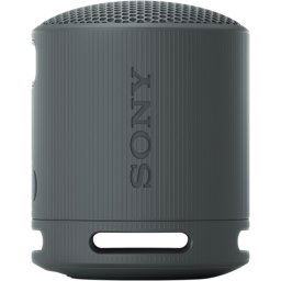 Sony SRS-XB100 Zwart
