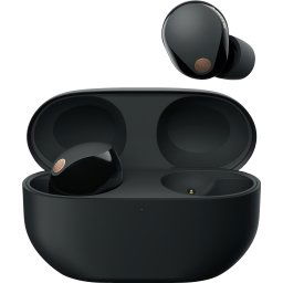Sony WF-1000XM5 Oordopjes Zwart
