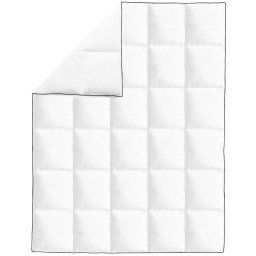 vidaXL Winterdekbedden 2 st 150x200 cm dons