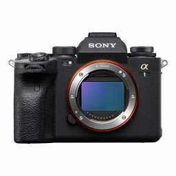Sony A1 + FE 24-70mm f/2.8 GM II