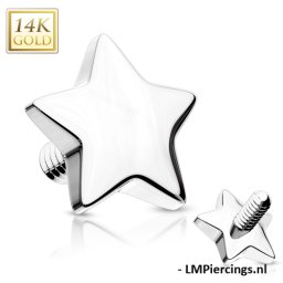 Dermal top ster 14kt wit goud 1.6mm