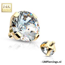 Dermal top 14kt goud 5mm 1.6mm
