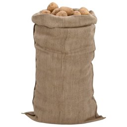 vidaXL Jutezakken 5 stuks 340 g/m² 65x135 cm 100% jute