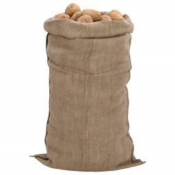 vidaXL Jutezakken 10 stuks 65x135 cm 100% jute 340 g/m²