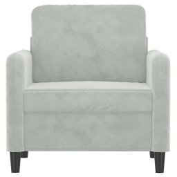 vidaXL Fauteuil 60 cm fluweel lichtgrijs