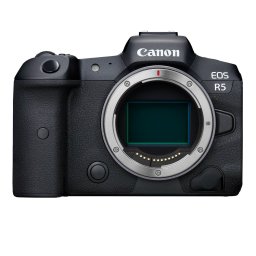 Canon EOS R5 + RF 100-500mm