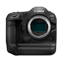 Canon EOS R3 + RF 100-500mm