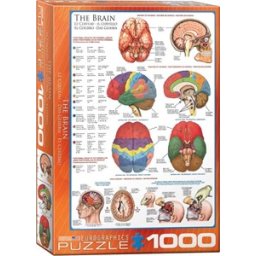The Brain Puzzel (1000 stukjes)