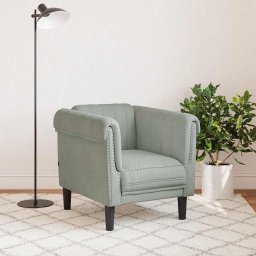 vidaXL Fauteuil fluweel lichtgrijs