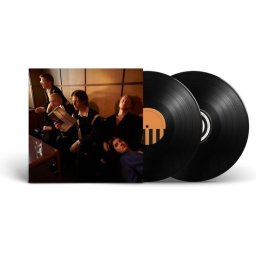 Giant Rooks - How Have You Been (2 LP)