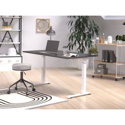 Verstelbaar bureau ROBERT 120 cm grafiet/wit