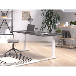 Verstelbaar bureau ROBERT 160 cm grafiet/wit