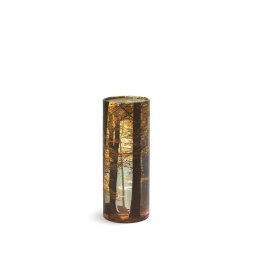 Mini Bio Eco Urn of As-strooikoker Herfstbos (65 gram)