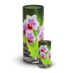 Grote Bio Eco Urn of As-strooikoker Orchidee (3.5 liter)