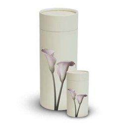 Kleine Witte Bio Eco Urn of As-strooikoker Arondskelk (0.2 liter)
