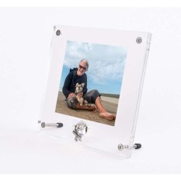 Plexiglas Fotolijst met Zilver Tinnen Asroosje (0.005 liter)