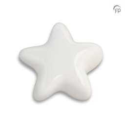 Mini Ster Urn Asteri Glanswit (0.05 liter)