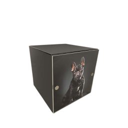 Kleine Metalen Photocube Dierenurn Matzwart (1 liter)