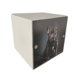 Grote Metalen Photocube Dieren Urn Matwit (2 liter)