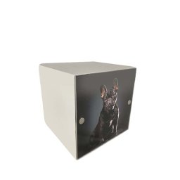 Kleine Metalen Photocube Dierenurn Matwit (1 liter)