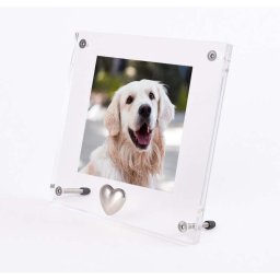 Plexiglas Dieren Fotolijst, Zilver Tinnen Ashartje (0.005 liter)
