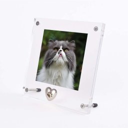 Plexiglas Dieren Fotolijst, Zilver Tinnen Ashartje Pootafdrukje (0.005 liter)